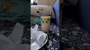 мой день в деревне