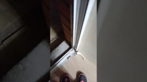 11518.mp4