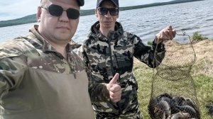 Прикормили и попёрло. Карась в петле. Тасей.