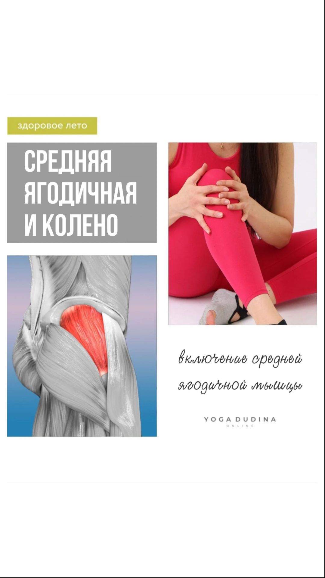 ЗДОРОВЬЕ КОЛЕНЕЙ зависит от этой МЫШЦЫ