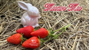 ⭐️Обворожительный Тиан Ти🤗🥰😍 Лучшие китайские сорта💥
