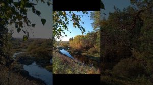 Там где Русские поп