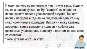 🏠Большой_Сборник_Смешных,Интересных_Историй_Из_Жизни,Для_Супер_Настроения