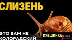 Худший кошмар вашего сада