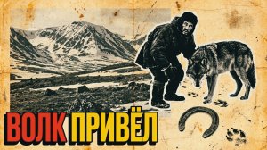 ВОЛК ПРИВЕЛ | РАССКАЗ