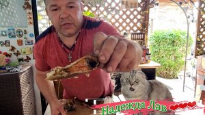В теплице клубника, в ларе заморозки, на сковороде — шаурма! 🏡🍅🥢