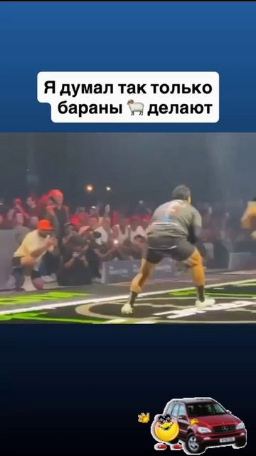 Бараны