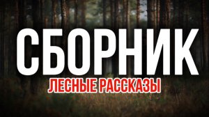 Сборник рассказов | лесная история