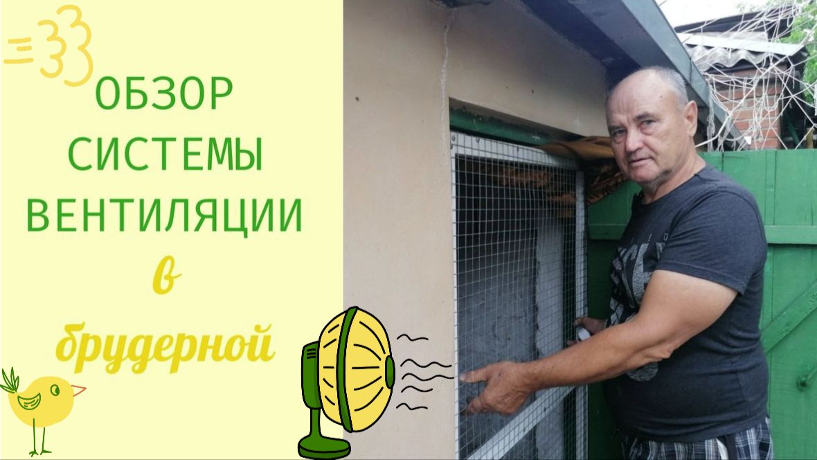 Обзор системы вентиляции в брудерной