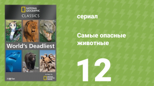 Самые опасные животные 12 серия (документальный сериал, 2007)
