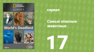Самые опасные животные 17 серия (документальный сериал, 2007)