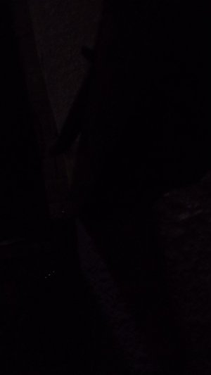 Баста