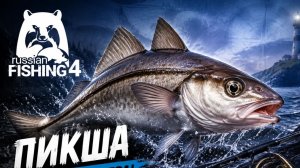 [Морская рыбалка] Точка на «Пикшу» l Норвежское море l RF-4