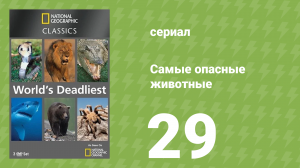 Самые опасные животные 29 серия (документальный сериал, 2007)
