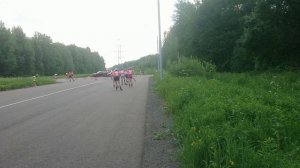 Полумарафон на роликах Лось-2026_Лосиный остров