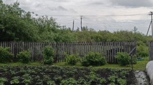 Влог#224наша жизнь.