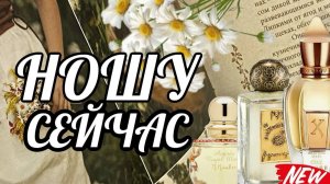 НОШУ СЕЙЧАС | К НИМ ТЯНЕТСЯ РУКА | АРОМАТЫ НА НАЧАЛО ЛЕТА