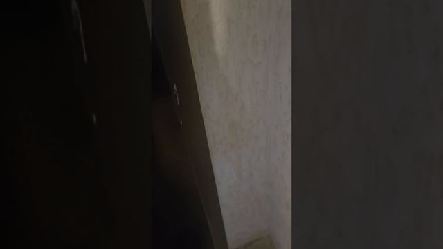 1000813810.mp4