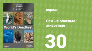 Самые опасные животные 30 серия (документальный сериал, 2007)