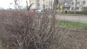 Один из дней города Евпатории | 20 января 2022 год | Крым ХАН БАТОН XAH 6ATOH | VID_20220120_150047