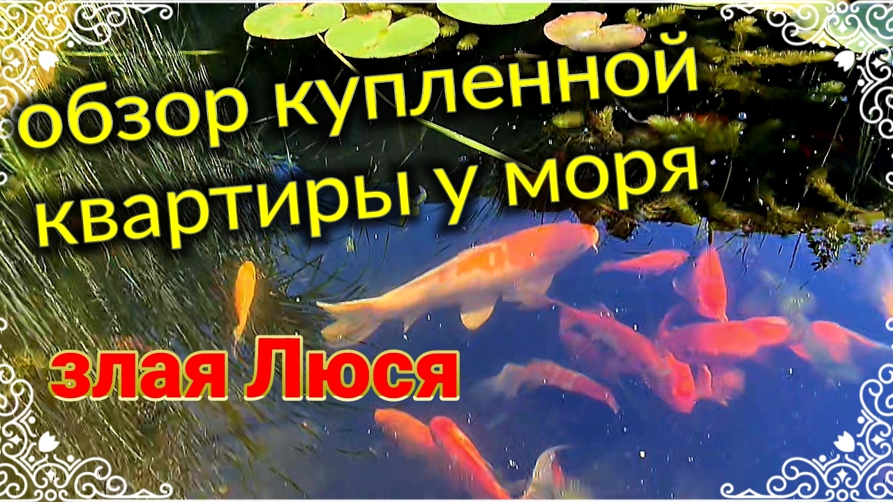Обзор купленной квартиры. Злая Люся. Жаб-Жабыч. В гостях у Андрея. Почём фрукты? Лодочки с фаршем... смотреть онлайн