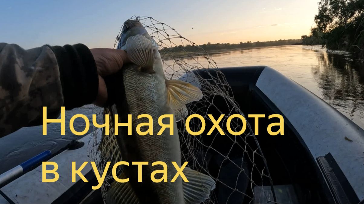 Мой лучший воблер на жереха. В темноте в бучиле нашел бой судака с жерехом. Днем такое не увидишь!