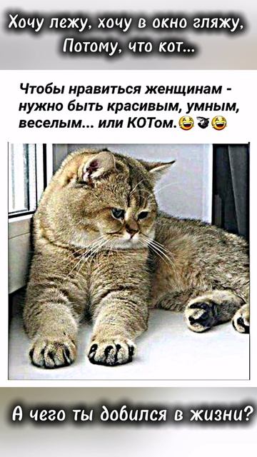 Доброе утро смотреть онлайн