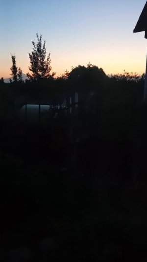 98726.mp4