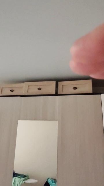 Мои кошки