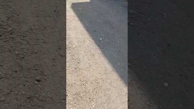 Video_2026-06-13_20-34-20