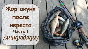 Жор окуня после нереста. Часть 1 (микроджиг)