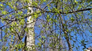 Один выходной,куда бежать? 1 часть. Санкт-Петербург