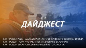 Дайджест#115