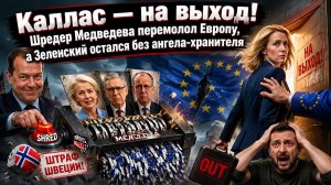 «Ведьму войны» гонят прочь: Медведев пустил лидеров ЕС под шредер, а шведы закидали РФ камнями