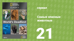 Самые опасные животные 21 серия (документальный сериал, 2007)