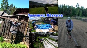 Подвязка гороха, установка третьего бассейна и рыхление картошку
