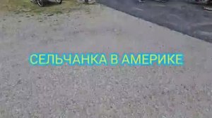 Сельчанка в америке СУПЕР ГАРАЖКА В США
