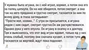 🏠Большой_Сборник_Весёлых_Историй_Из_Жизни,Для_Супер_Настроения_На
