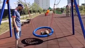 любит сильно кошку
