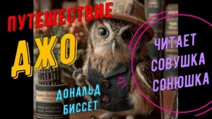 Дональд Биссет - Путешествие Джо