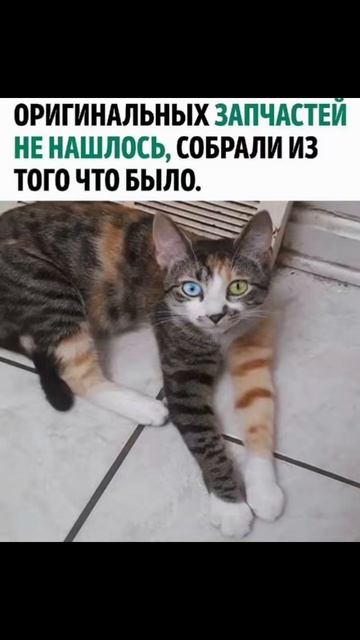 Солянка)