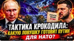 ТАКТИКА КРОКОДИЛА_ Какую ловушку приготовил Путин для НАТО