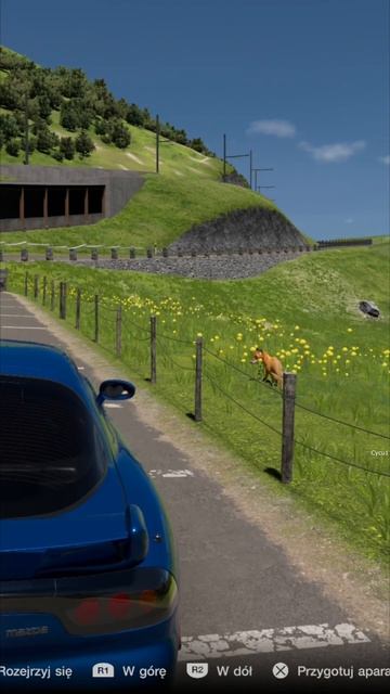 В Gran Turismo 7 на трассе Эйгер Нордванд обнаружена пасхалка с рыжей лисой! смотреть онлайн