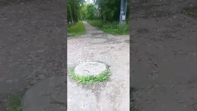 утренний стрим