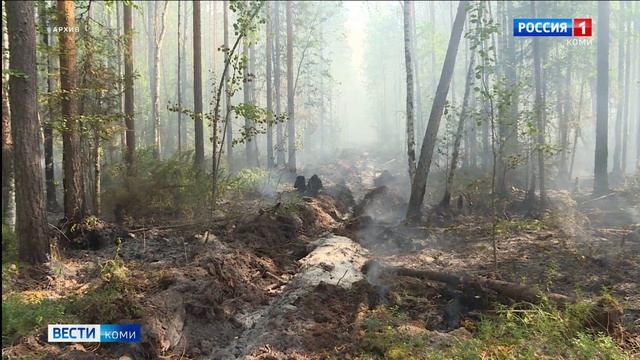 В Коми зафиксированы новые лесные пожары