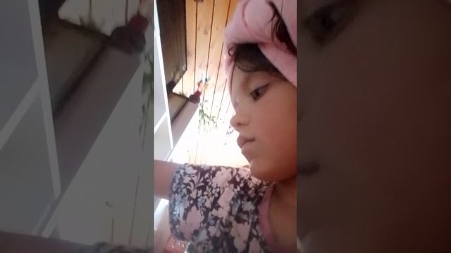 игрушки