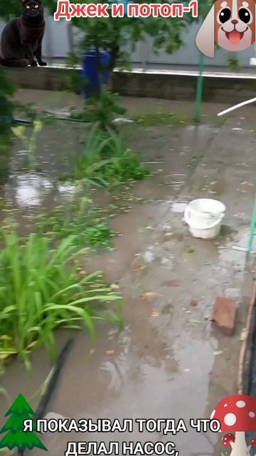 Джек и потоп-1🐶🐱🤯