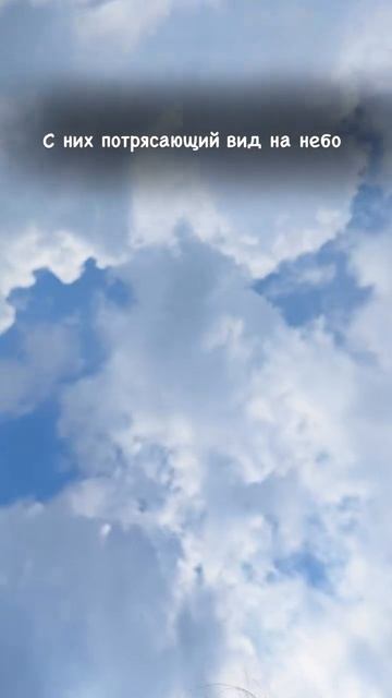 125 миллионов обонятельных рецепторов у собак! Это значит, что они улавливают кажду секунду сотни...