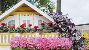 Фестиваль цветов в Петропавловской крепости🌸☘️🌺✨️ #петербург #путешествия #интересныеместа #цветы