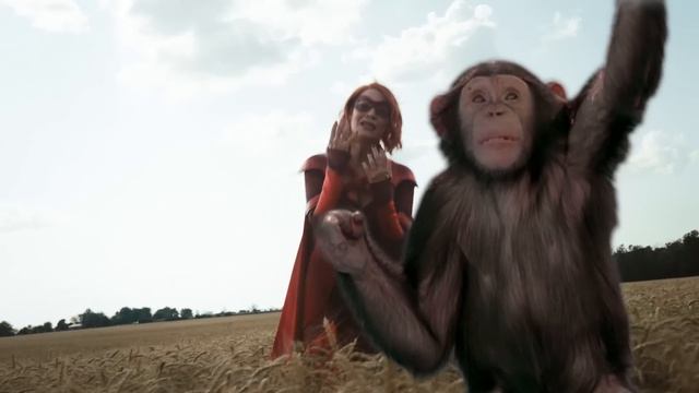 [Vought International] Crimson Countess | Chimps Don't Cry | [The Boys / Пацаны]